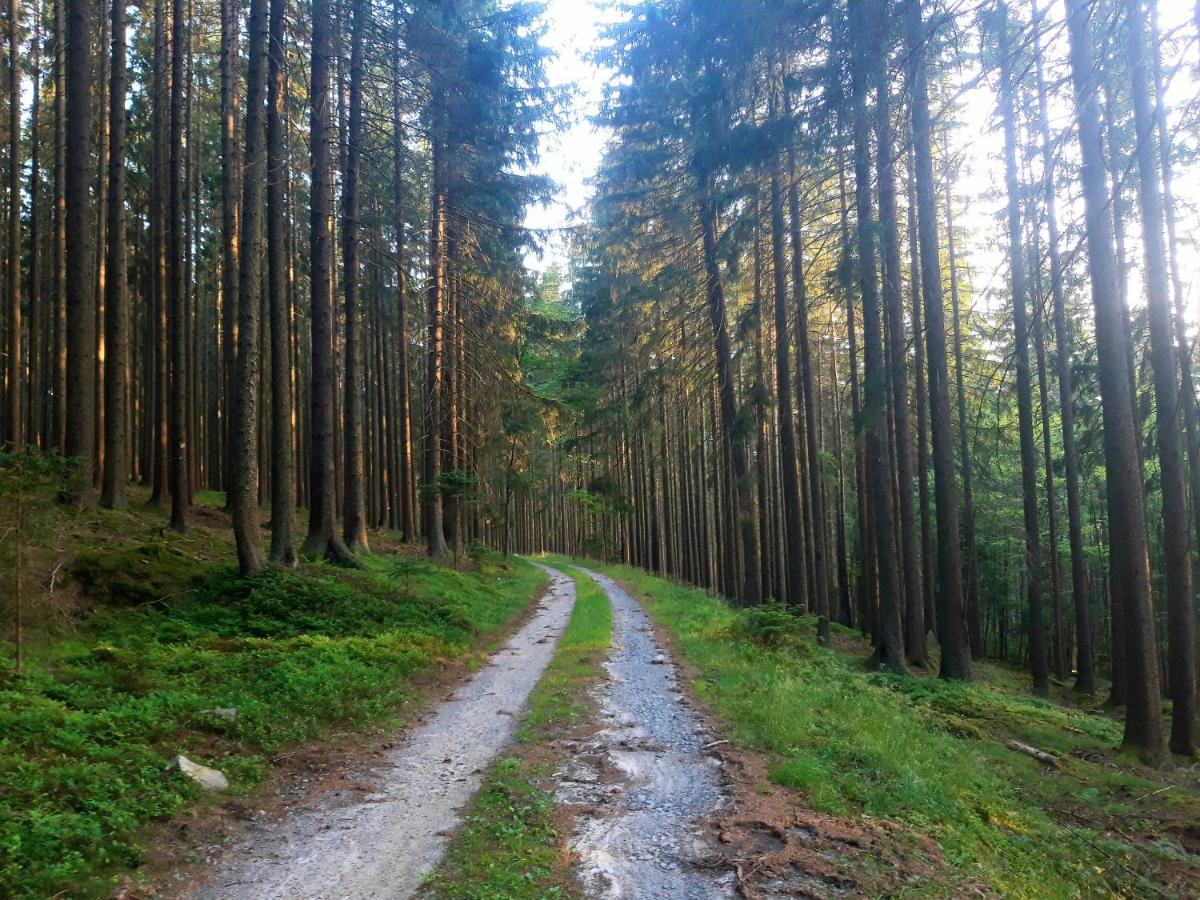 #apt23 - 23 - Novohradske Hory * Benesov nad Cernou