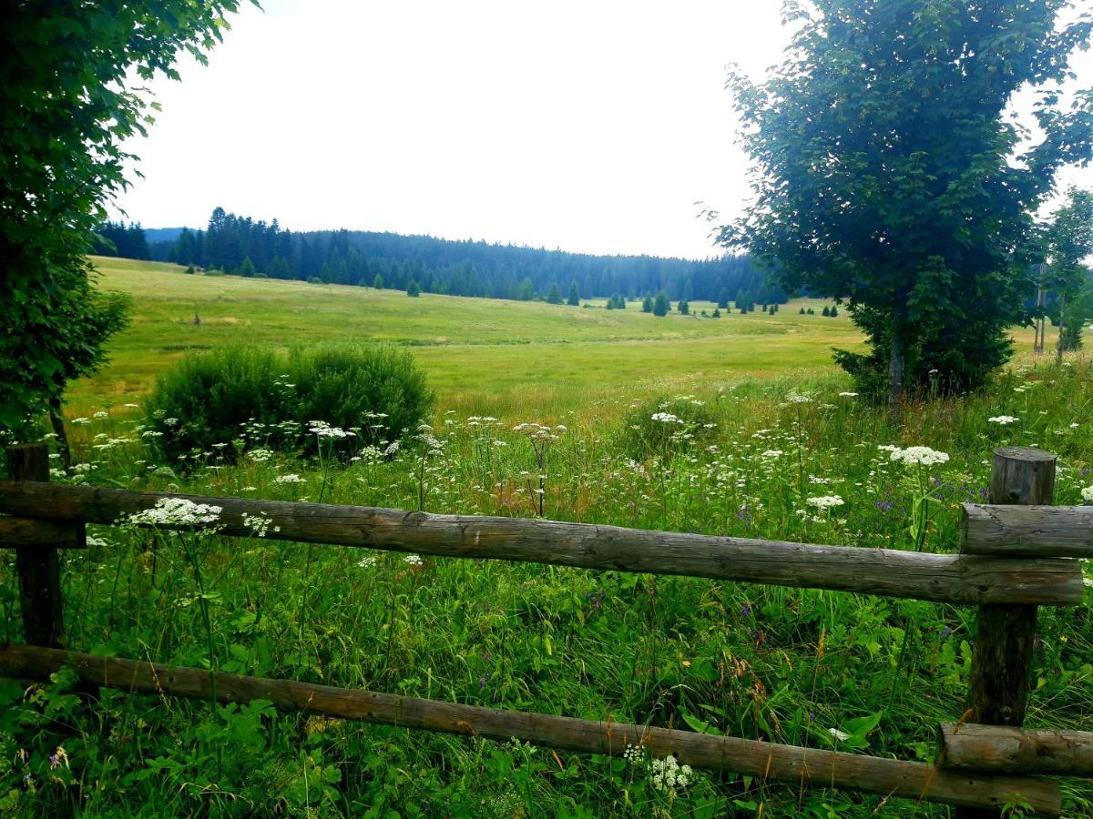 Apartamento #apt23 - 23 - Novohradske Hory *